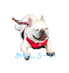 日常で使える 〜番黒ブラザーズ〜（個別スタンプ：8）