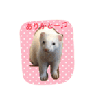そららんの日常スタンプ（個別スタンプ：6）
