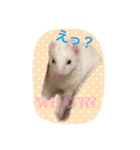 そららんの日常スタンプ（個別スタンプ：8）