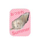 そららんの日常スタンプ（個別スタンプ：9）