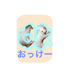 そららんの日常スタンプ（個別スタンプ：10）
