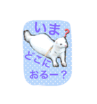 そららんの日常スタンプ（個別スタンプ：12）