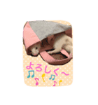 そららんの日常スタンプ（個別スタンプ：13）