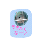 そららんの日常スタンプ（個別スタンプ：14）