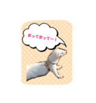 そららんの日常スタンプ（個別スタンプ：15）
