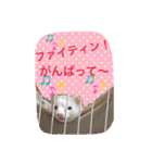 そららんの日常スタンプ（個別スタンプ：16）