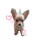 モナるんるん♡（個別スタンプ：1）
