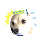 モナるんるん♡（個別スタンプ：7）