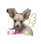 モナるんるん♡（個別スタンプ：16）