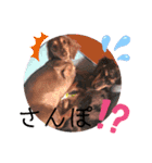 .Family.love.（個別スタンプ：5）