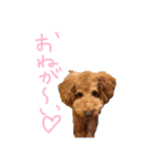 ココアとミルク2（個別スタンプ：4）