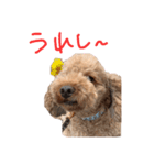 ココアとミルク2（個別スタンプ：5）