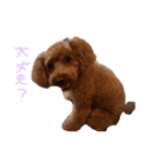 ココアとミルク2（個別スタンプ：6）