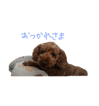 ココアとミルク2（個別スタンプ：7）