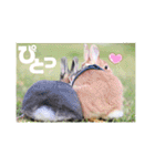 句読点コンビ②ひとこと編（個別スタンプ：1）