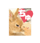 句読点コンビ②ひとこと編（個別スタンプ：2）
