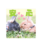 句読点コンビ②ひとこと編（個別スタンプ：3）