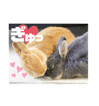句読点コンビ②ひとこと編（個別スタンプ：4）