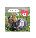 句読点コンビ②ひとこと編（個別スタンプ：5）