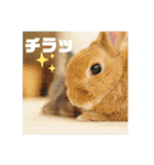 句読点コンビ②ひとこと編（個別スタンプ：7）