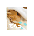 句読点コンビ②ひとこと編（個別スタンプ：8）