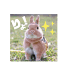 句読点コンビ②ひとこと編（個別スタンプ：9）