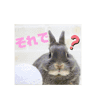句読点コンビ②ひとこと編（個別スタンプ：10）