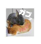句読点コンビ②ひとこと編（個別スタンプ：11）