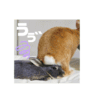 句読点コンビ②ひとこと編（個別スタンプ：12）