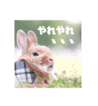 句読点コンビ②ひとこと編（個別スタンプ：13）