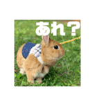 句読点コンビ②ひとこと編（個別スタンプ：14）