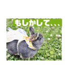 句読点コンビ②ひとこと編（個別スタンプ：15）