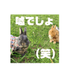 句読点コンビ②ひとこと編（個別スタンプ：16）