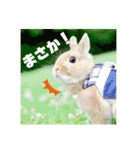句読点コンビ②ひとこと編（個別スタンプ：18）