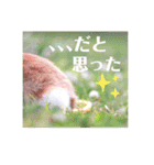 句読点コンビ②ひとこと編（個別スタンプ：19）