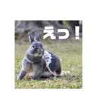 句読点コンビ②ひとこと編（個別スタンプ：22）