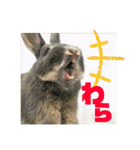 句読点コンビ②ひとこと編（個別スタンプ：23）