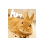 句読点コンビ②ひとこと編（個別スタンプ：24）