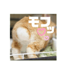 句読点コンビ②ひとこと編（個別スタンプ：25）