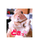 句読点コンビ②ひとこと編（個別スタンプ：26）
