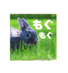句読点コンビ②ひとこと編（個別スタンプ：27）