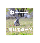 句読点コンビ②ひとこと編（個別スタンプ：28）