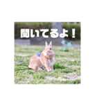 句読点コンビ②ひとこと編（個別スタンプ：29）