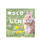 句読点コンビ②ひとこと編（個別スタンプ：33）