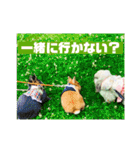 句読点コンビ②ひとこと編（個別スタンプ：34）