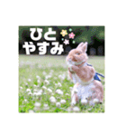 句読点コンビ②ひとこと編（個別スタンプ：35）