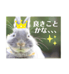 句読点コンビ②ひとこと編（個別スタンプ：36）