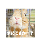 句読点コンビ②ひとこと編（個別スタンプ：37）