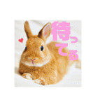 句読点コンビ②ひとこと編（個別スタンプ：38）