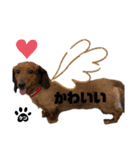 犬のケンちゃんスタンプ②（個別スタンプ：6）